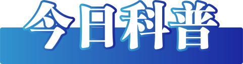 今日辟谣（2024年11月7日）