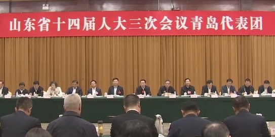 聚焦2025山东两会丨任刚参加青岛代表团审议